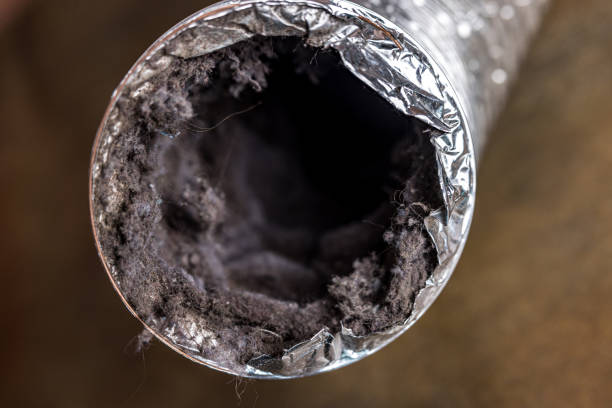 Best Ductwork Cleaning Services  in St Robert, MO
